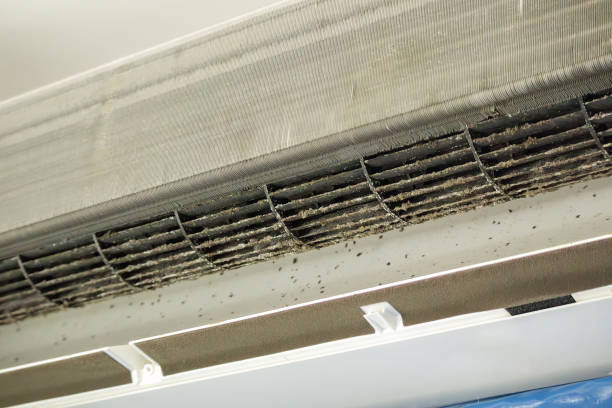 Best Residential Air Duct Cleaning  in Indian River Estates, FL